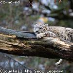 Dino Hilpert Profile Picture