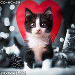 Gino Emmerich Profile Picture