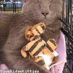 Shaylee Bergstrom Profile Picture