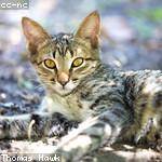 Fabiola Schmeler Profile Picture