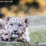 Kendall Lebsack Profile Picture