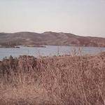 Grover Rohan Profile Picture