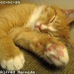 Olaf Stehr Profile Picture