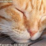 Vergie Ledner Profile Picture