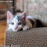 Stanley Runte Profile Picture