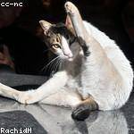 Ida Green Profile Picture