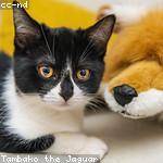 Linwood Littel Profile Picture