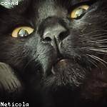 Roberta Ondricka Profile Picture