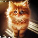 Kristian Steuber Profile Picture