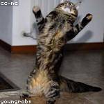 Susan Weimann Profile Picture