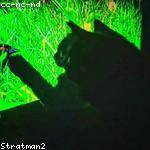 Ryan Lowe Profile Picture