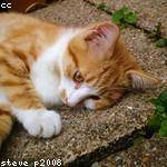 Jamison Donnelly Profile Picture