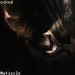 Elza Jacobi Profile Picture