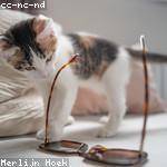 Jovany Bednar Profile Picture