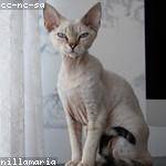 Orlando Roberts Profile Picture