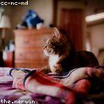 Eloise Parker Profile Picture