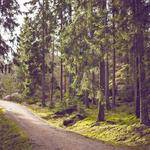 Curtis Gerlach Profile Picture