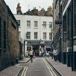 Viola Rodriguez Profile Picture