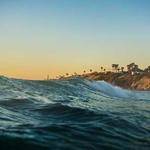 Jenifer Cruickshank Profile Picture