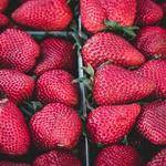 Zella Pagac Profile Picture