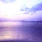 Emmet Schaefer Profile Picture