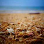 Denis Gleichner Profile Picture