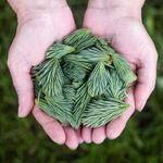 Rosa Fay Profile Picture