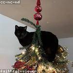 Tony Kuhn Profile Picture