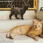 Else Parisian Profile Picture