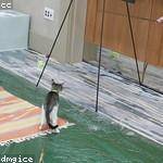 Catalina Gerhold Profile Picture