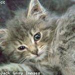 Krystina Luettgen Profile Picture