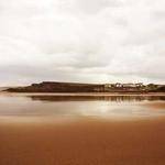 Abbie Bins Profile Picture