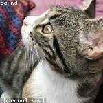 Elbert Wintheiser Profile Picture