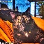 Jordi Tromp Profile Picture