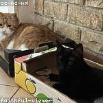 Jade Leffler Profile Picture