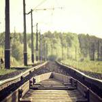 Leone Gulgowski Profile Picture