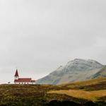 Delia Connelly Profile Picture