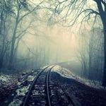 Shanie Beier Profile Picture