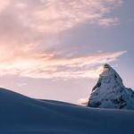 Selina Barton Profile Picture