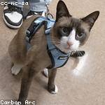 Edyth Yost Profile Picture