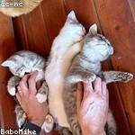 Glenna Dietrich Profile Picture