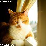 Marianna Ward Profile Picture