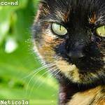 Braeden Price Profile Picture