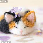 Rylee Torp Profile Picture