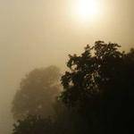 Wendell Bruen Profile Picture