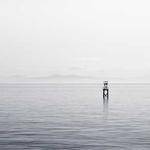 Angus Schiller Profile Picture