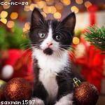 Boyd Miller Profile Picture