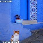 Yessenia Predovic Profile Picture