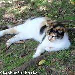 Cassidy Goldner Profile Picture