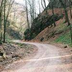 Wilfred Reilly Profile Picture